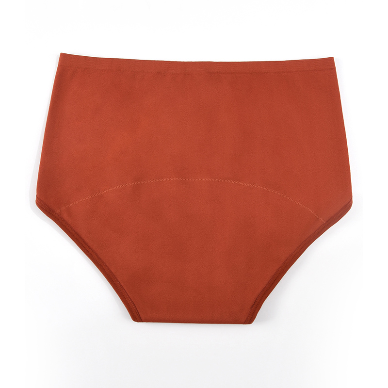 Women’s Seamless Period Pantie – Period Panty Absorbent recenzja i cena